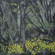 18 Spring 2 50x50 -JPG